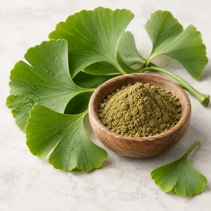Ginkgo biloba leaves